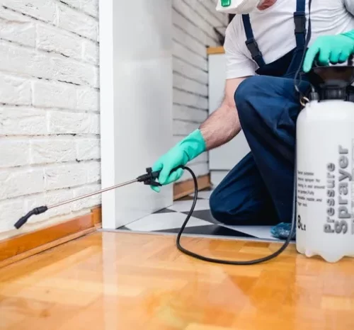 Gaziantep İlaçlama, Gaziantep Böcek İlaçlama, Gaziantep Haşere İlaçlama, Gaziantep Kurumsal İlaçlama, Gaziantep Bireysel İlaçlama, Gaziantep Böcek, Gaziantep İşyeri İlaçlama, Gaziantep Hamamböceği İlaçlama, Gazaintep Kene İlaçlama, Gaziantep Pire İlaçlama, Gaziantep Fare İlaçlama, Gaziantep İlaçlama Şirketleri, Gaziantep Örümcek İlaçlama, Gaziantep Sinek İlaçlama, Gaziantep Kertenkele İlaçlama, Gaziantep Banyo İlaçlama, Gaziantep Karınca İlaçlama, Gaziantep Böcek İlaçlama Fiyatları, Gaziantep Ev İlaçlama, Gaziantep Fabrika İlaçlama, Gaziantep Hastane İlaçlama, Gaziantep Ofis İlaçlama, Gaziantep Kokusuz İlaçlama, Gaziantep İlaçlama İletişim, Gaziantep Fare İlaçlama Firmaları, Gaziantep Dezenfekte İlaçlama, Gaziantep Böcek İlaçlama Fiyatları, Gaziantep Acil İlaçlama, Gaziantep İlaçlama Merkezi, Gaziantep Dezenfeksiyon, Gaziantep Böcek İlaçlama Hizmeti, Gaziantep Fare İlaçlama Hizmeti, Gaziantep Pire İlaçlama Hizmeti, Gaziantep Fümigasyon Hizmeti, Gaziantep Villa İlaçlama, Gaziantep Apartman İlaçlama, Gaziantep Bahçe İlaçlama, Gaziantep Su Deposu Temizliği, Gaziantep Banka İlaçlama, Gaziantep Covid İlaçlama, Gaziantep Fırın İlaçlama, Gaziantep Jel İlaçlama, Gaziantep Haşere ile Mücadele, Gaziantep Okul İlaçlama, Gaziantep Site İlaçlama, Gaziantep Park İlaçlama, Gaziantep Restoran İlaçlama, Gaziantep AVM İlaçlama, Gaziantep Otel İlaçlama, Gaziantep Bağevi İlaçlama, Gaziantep Tahta Kurusu İlaçlama, Gaziantep Sivrisinek İlaçlama, Gaziantep Dersane İlaçlama, Gaziantep Spor Merkezi İlaçlama